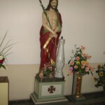 zehnani-kvetin-a-bylin-2009-20