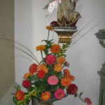 zehnani-kvetin-a-bylin-2009-21