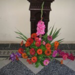 zehnani-kvetin-a-bylin-2009-23