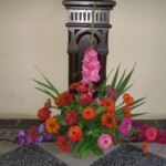 zehnani-kvetin-a-bylin-2009-24