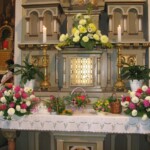 zehnani-kvetin-a-bylin-2009-25