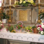 zehnani-kvetin-a-bylin-2009-31