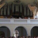 zehnani-kvetin-a-bylin-2009-34