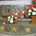 zehnani-kvetin-a-bylin-2009-40