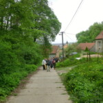 zehnani-poli-009