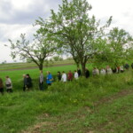 zehnani-poli-015