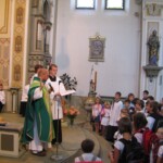 zehnani-skolnich-aktovek-31