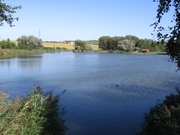 Dvorský rybník - detail