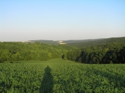 Líchy - pohled od západu