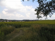 Pohled na Domaniny